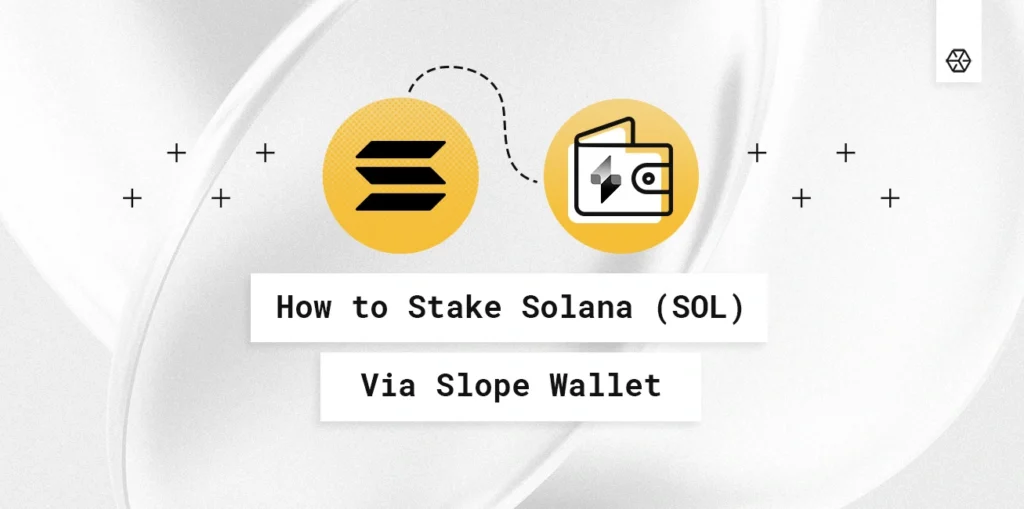 bf1d47df-6e95-4bdd-8b2f-9b9a0ea19a05