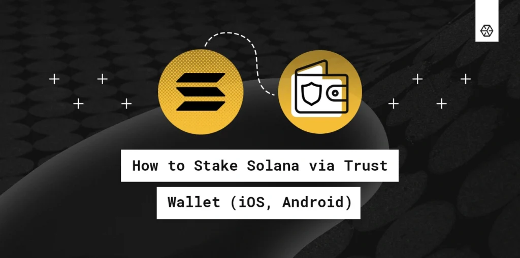 f6ed8b42-0c9c-43e4-a3c9-26029b267518