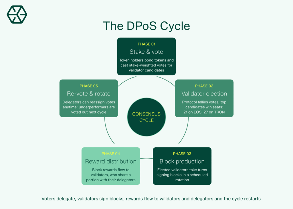 Delegated Proof of Stake Cycle Diagram - Everstake